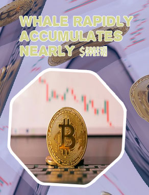 Bitcoins worth