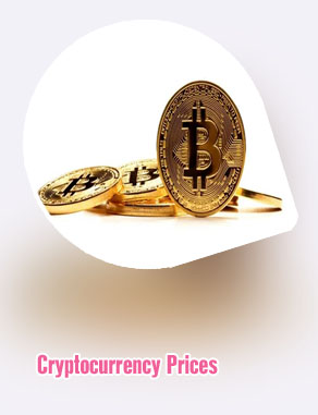 Coin bitcoin price