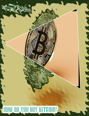 How did bitcoin start