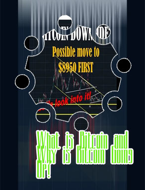 How much has bitcoin gone up since