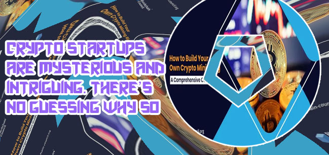 How to start your own crypto coin
