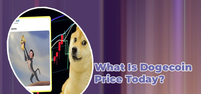 What is dogecoin worth today